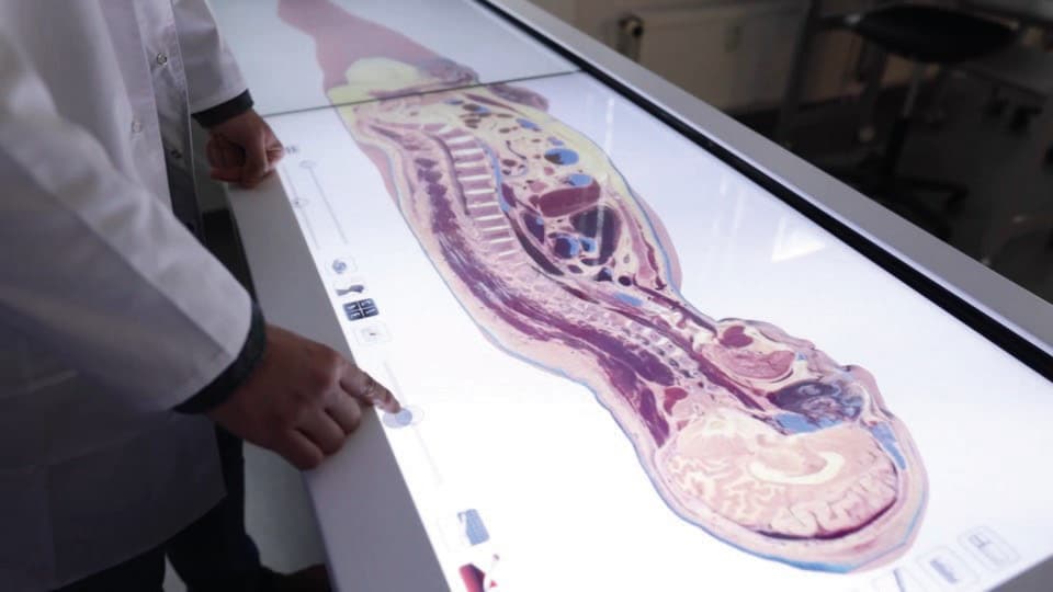 Anatomage