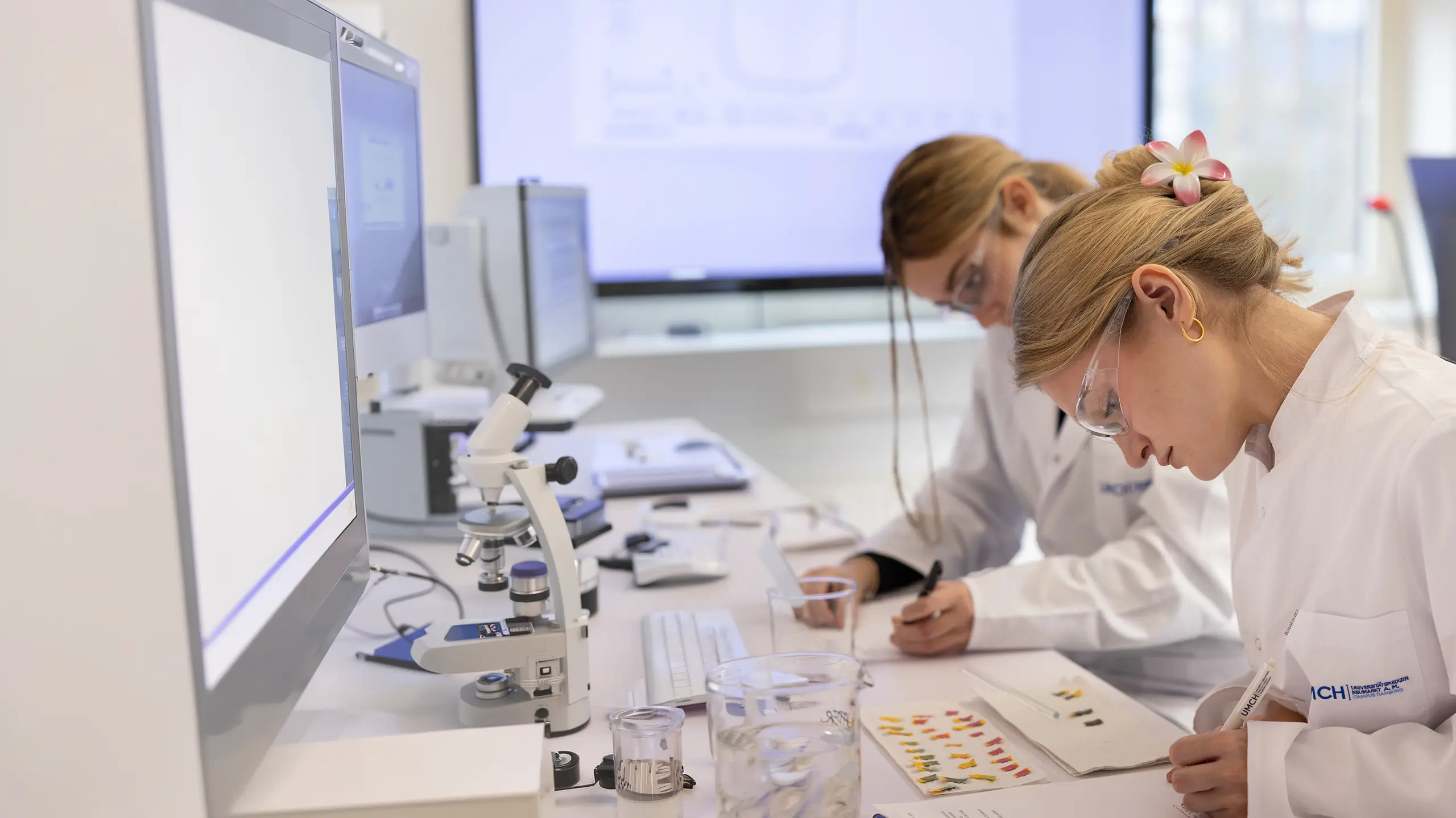 Studierende des Medical Foundation Track am UMFST-UMCH in Hamburg