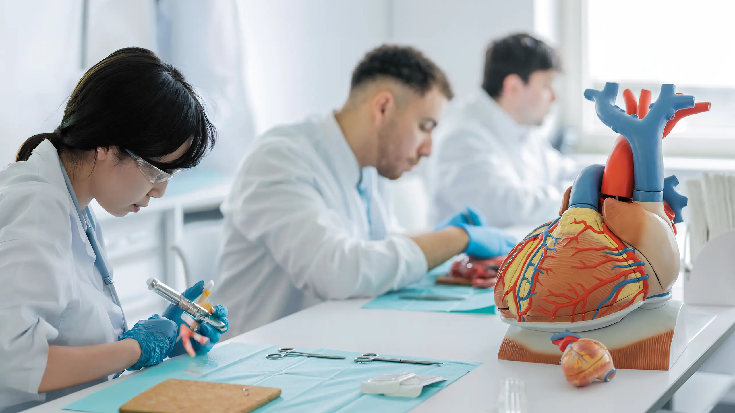 Der Studiengang Humanmedizin am UMFST-UMCH in Hamburg