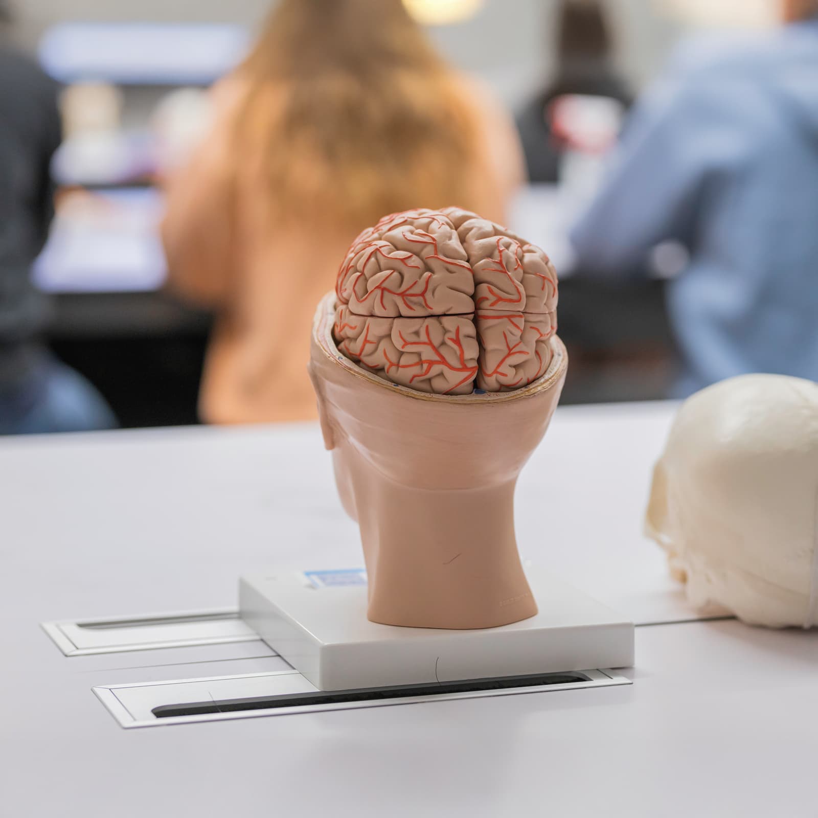 Tuition fees and financing for studying medicine at UMFST-UMCH