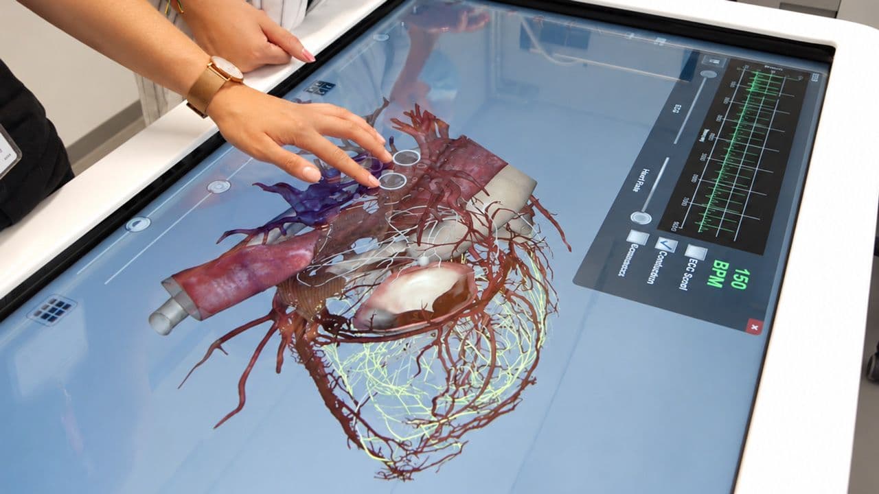 3 Anatomie-Labore mit 3D-Anatomage