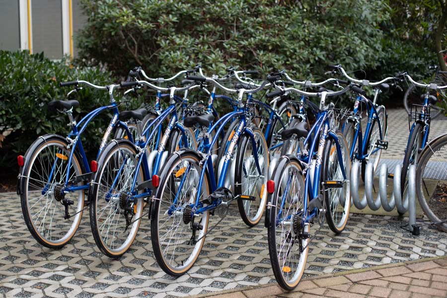 Free UMCH / UMFST rental bikes on bicycle stand